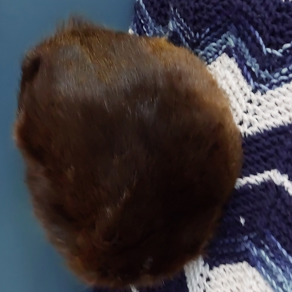 VINTAGE Fur hat - Picture 3 of 7